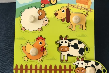 Children Hand Scratch 3D Wooden Board Baby Cartoon Montessori Early Education Farm Fruit Cognitive Puzzle Toy - Image 11